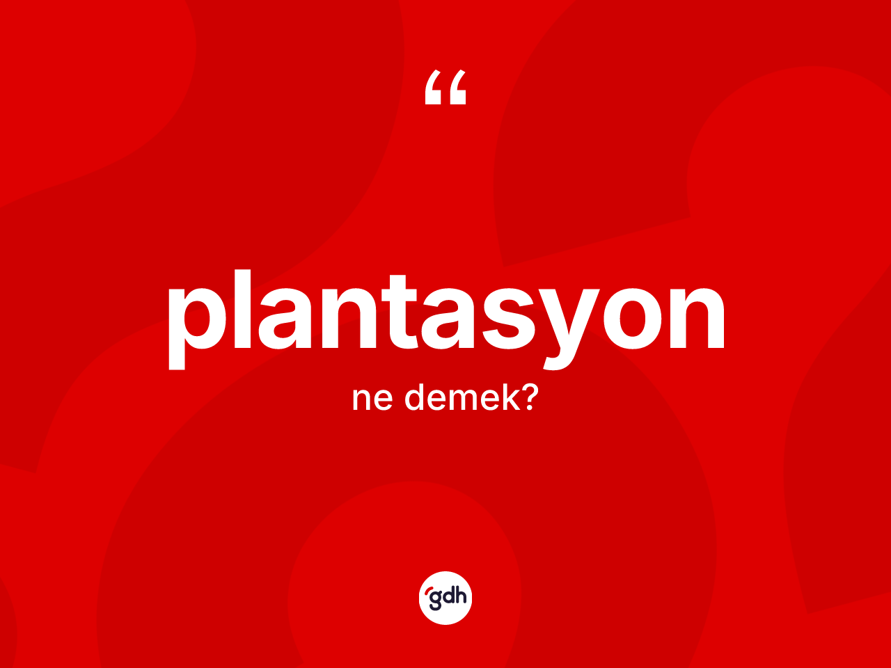Plantasyon kelimesi ne anlama gelir? Plantasyonun TDK'ya göre anlamı nedir?