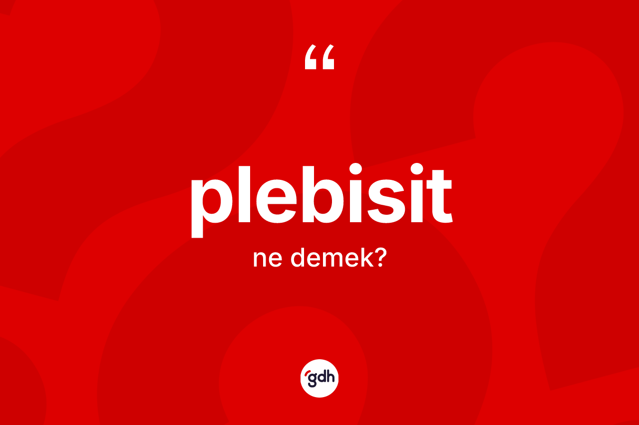 Plebisit kelimesi nedir? Plebisitin kısaca tanımı nedir?