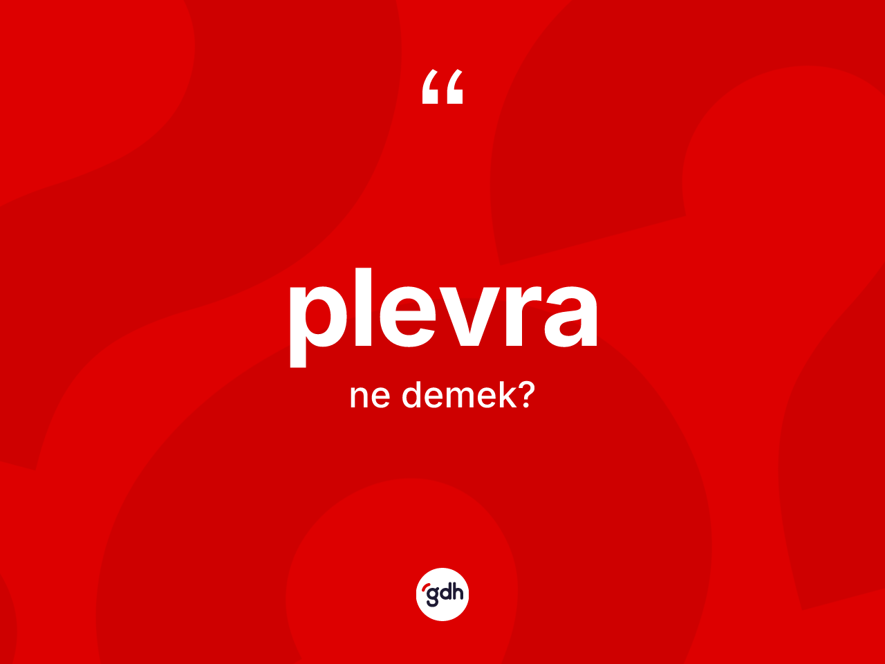 Plevra nedir? Plevranın TDK'ya göre anlamı nedir?