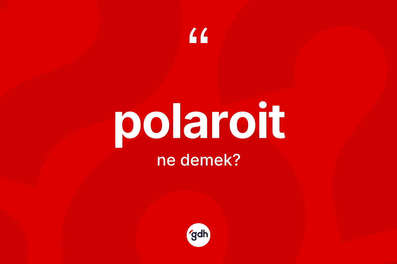 Polaroit kelimesinin sözlükteki tanımı nedir? Polaroidin TDK'ya göre anlamı nedir?