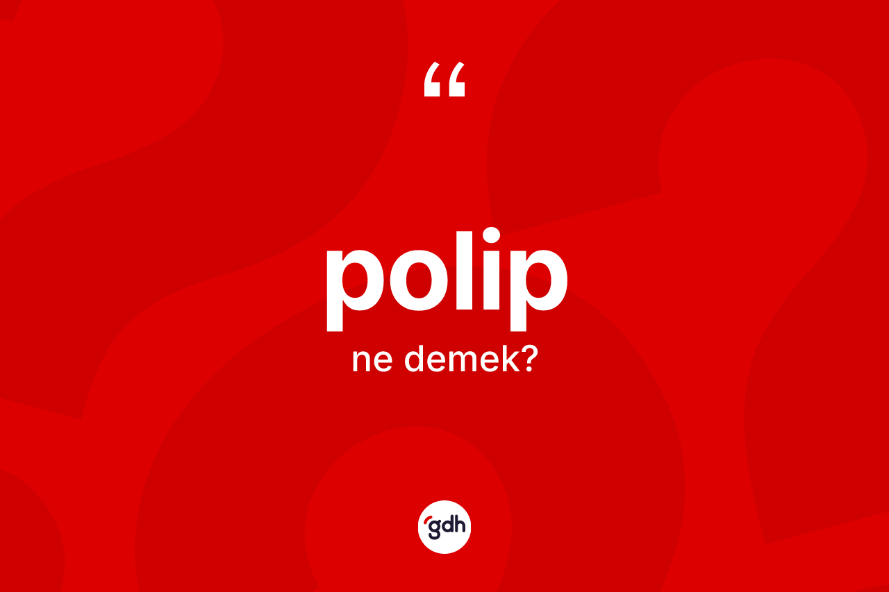 Polip kelimesi ne anlama gelir? Polip kelimesinin kaç farklı anlamı var?