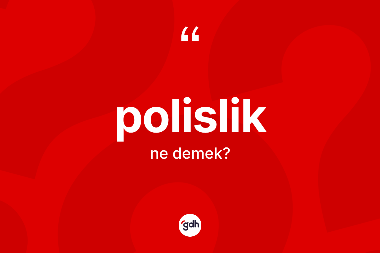 Polislik ne anlama gelir? Polislik kelimesinin TDK'ya göre açıklaması nedir?