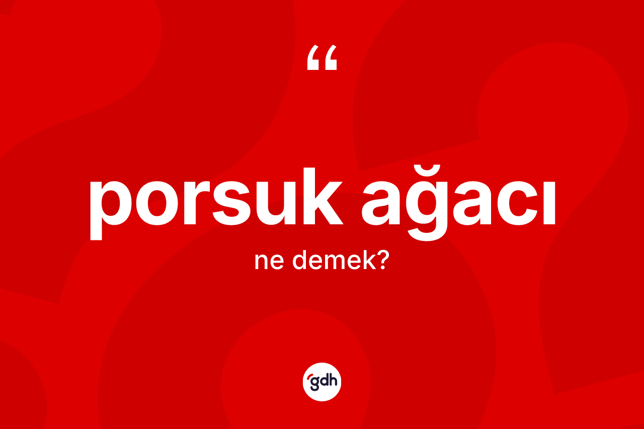 Porsuk ağacı kelimesinin sözlükteki tanımı nedir? Porsuk ağacının TDK'ya göre anlamı nedir?