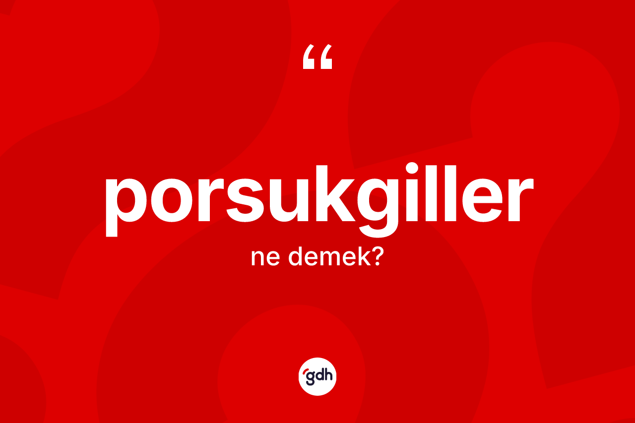 Porsukgiller kelimesinin anlamı nedir? Porsukgillerin TDK'ya göre anlamı nedir?