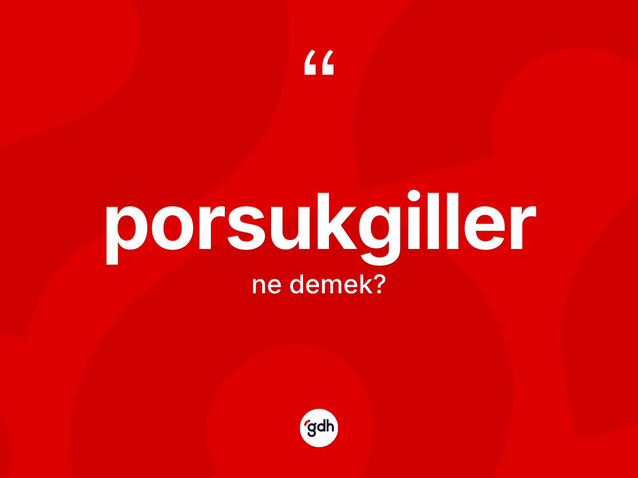 Porsukgiller kelimesinin anlamı nedir? Porsukgillerin TDK'ya göre anlamı nedir?