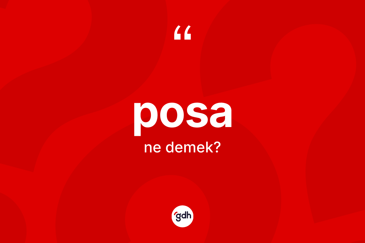 Posa kelimesinin anlamı nedir? Posa kelimesinin kaç farklı anlamı var?
