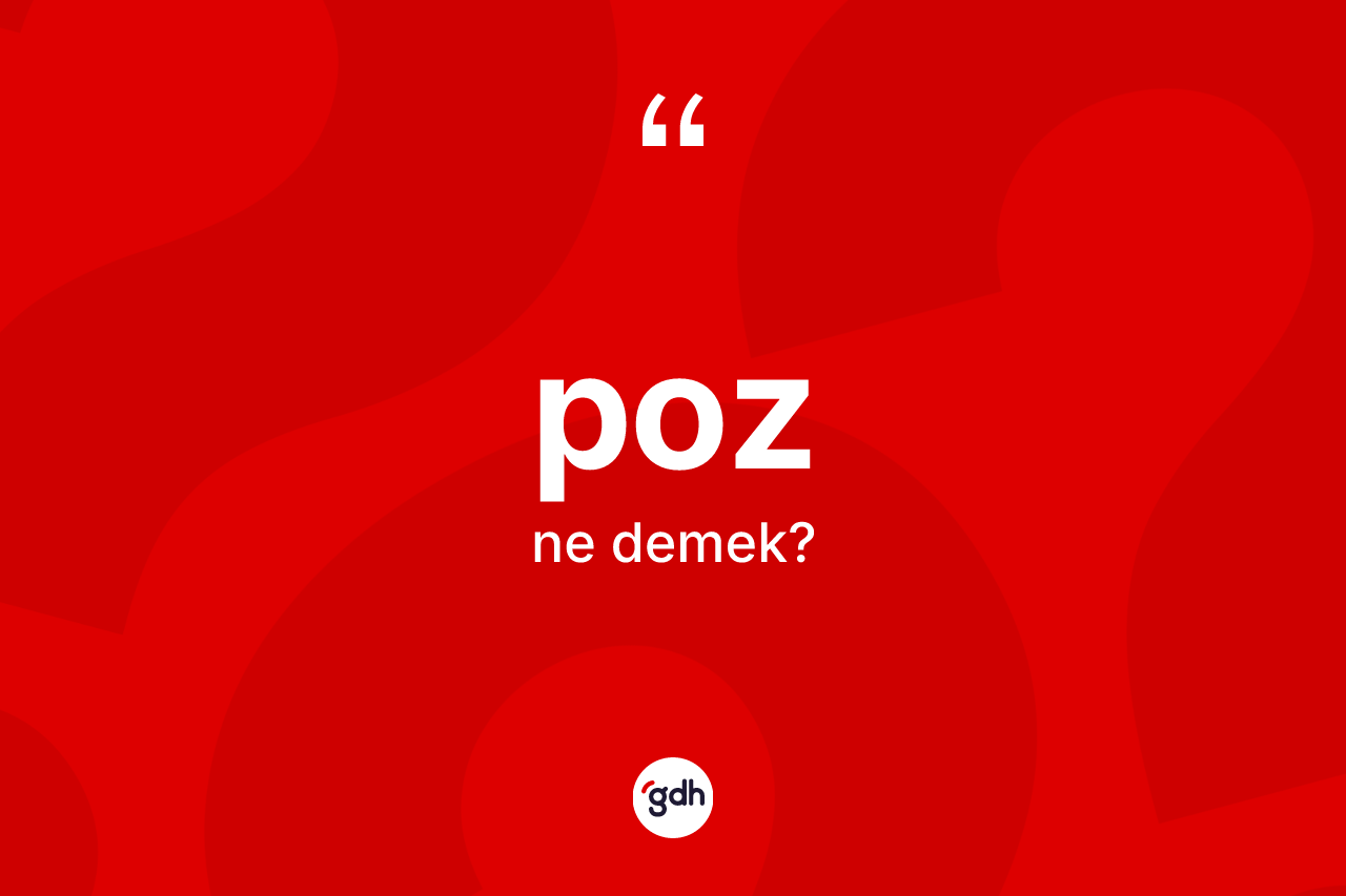 Poz kelimesinin sözlükteki tanımı nedir?