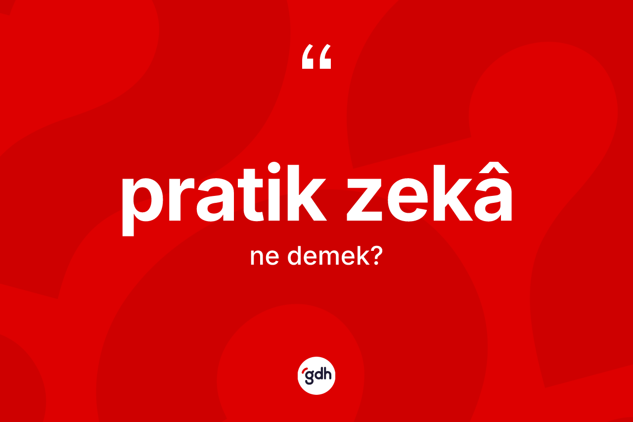 Pratik zekâ kelimesinin anlamı nedir? Pratik zekâin TDK'ya göre anlamı nedir?