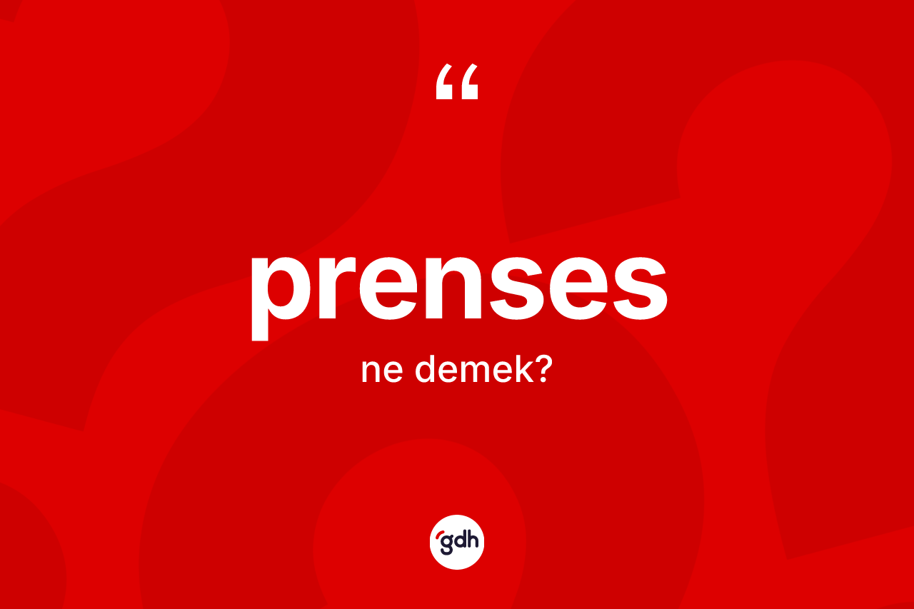 Prenses kelimesinin sözlükteki tanımı nedir? Prensesin TDK'ya göre anlamı nedir?