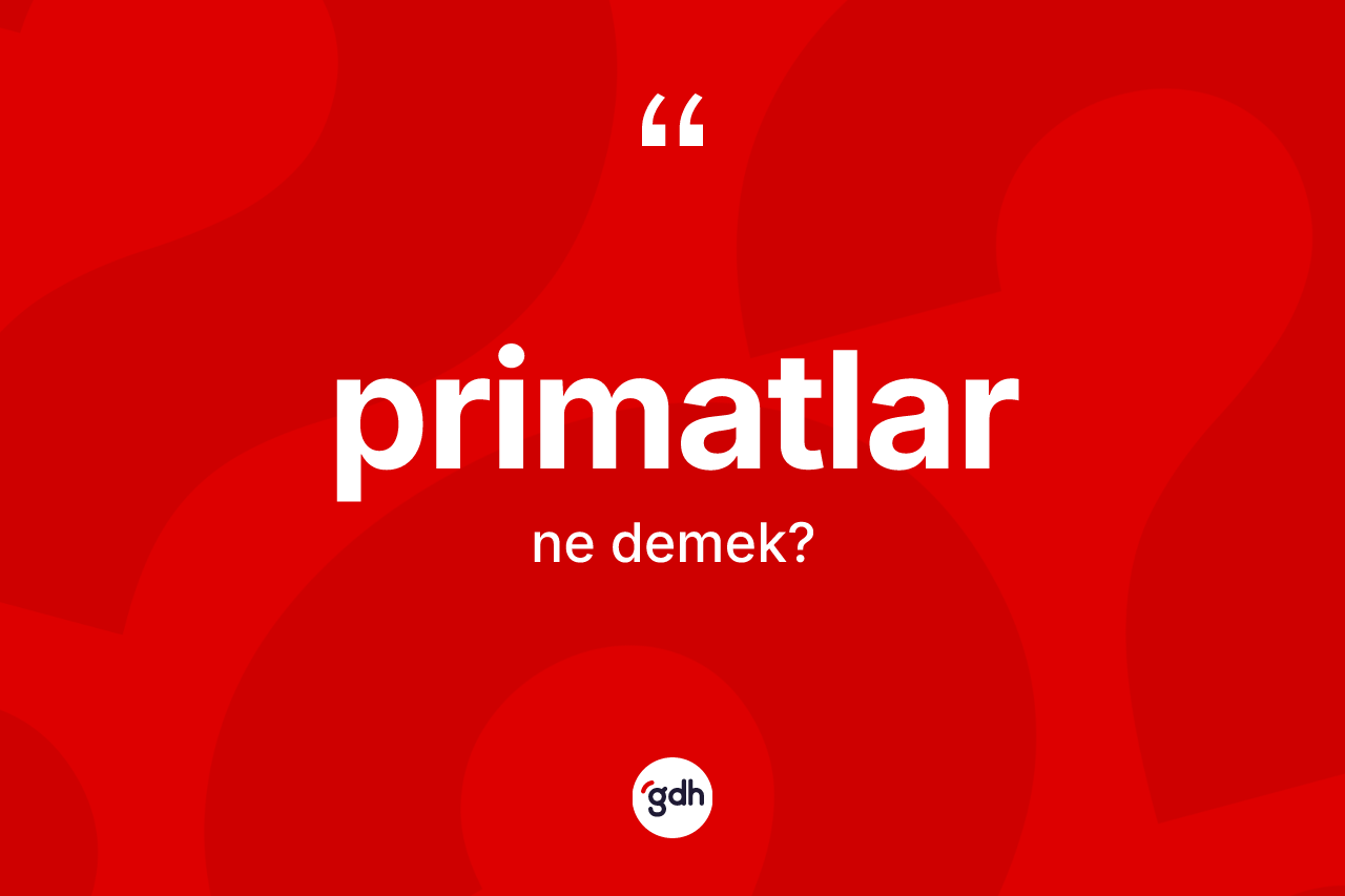 Primatlar kelimesi nedir? Primatların sözlükteki anlamı nedir?