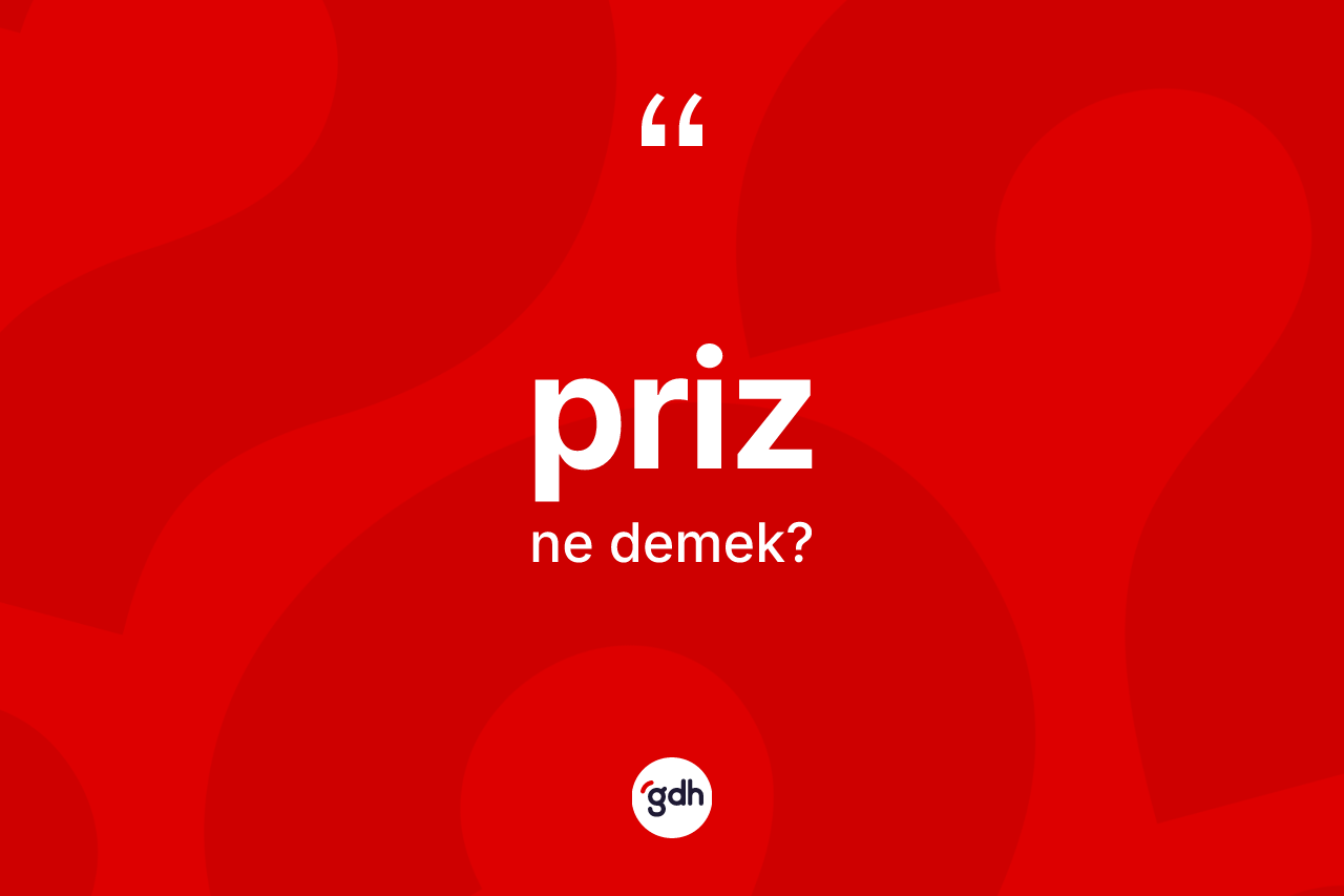 Priz kelimesinin anlamı nedir? Prizin TDK'ya göre anlamı nedir?