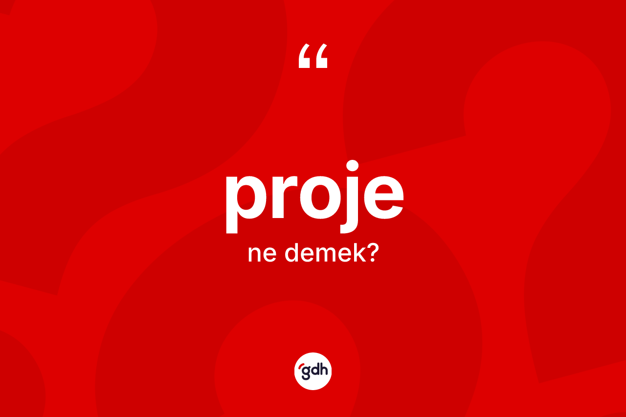 Proje kelimesinin anlamı nedir? Projenin halk arasındaki kullanımı nasıldır?