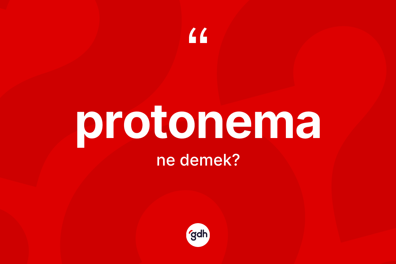 Protonema kelimesinin sözlükteki tanımı nedir? Protonemanın halk arasındaki kullanımı nasıldır?