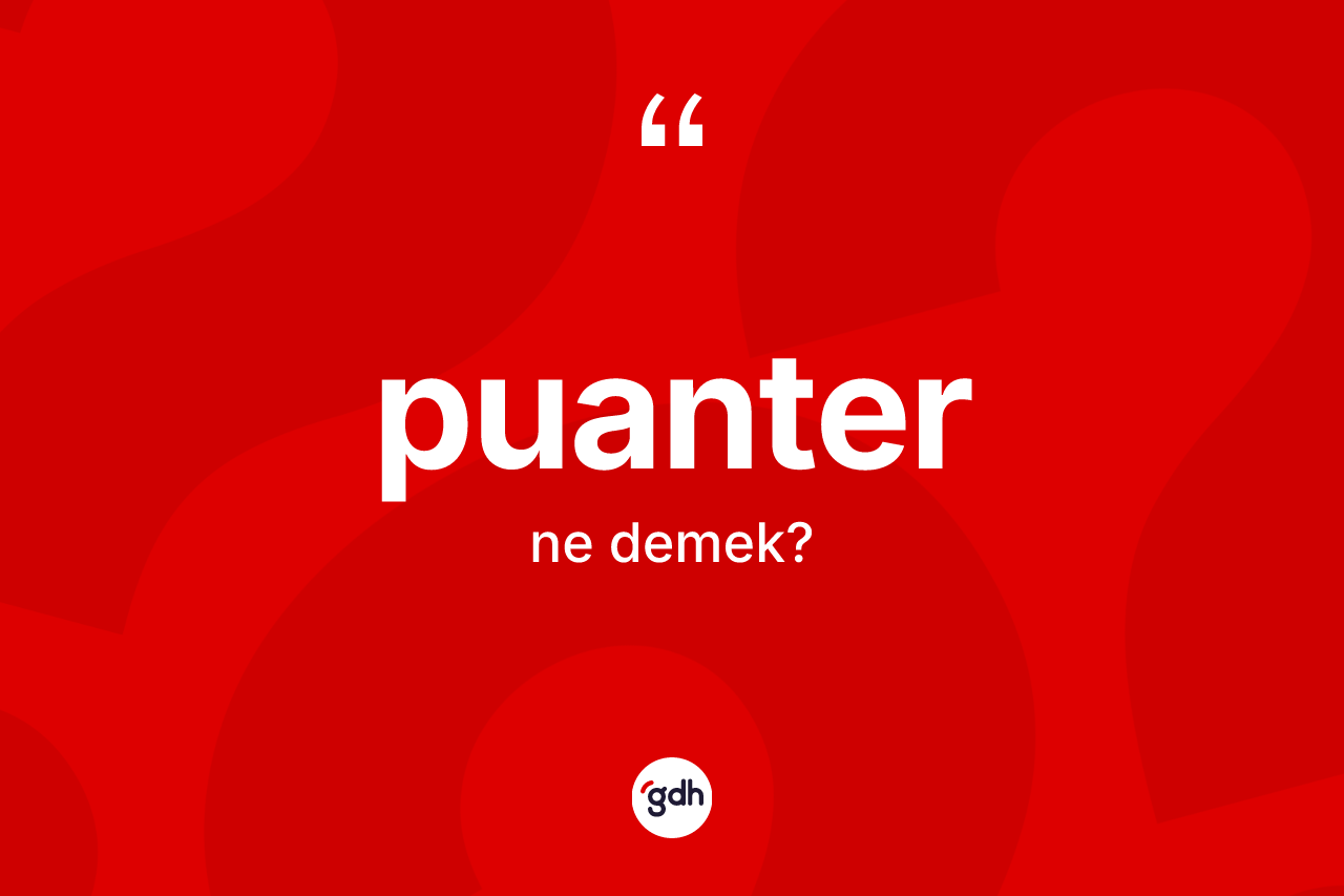 Puanter kelimesinin tanımı nedir? Puanterin kısaca tanımı nedir?