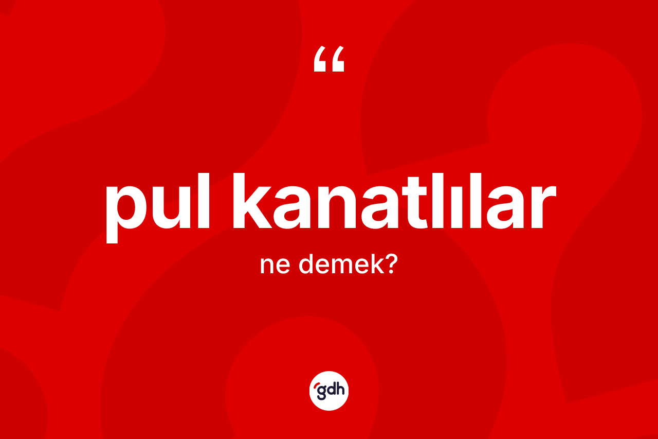 Pul kanatlılar ne anlama gelir?
