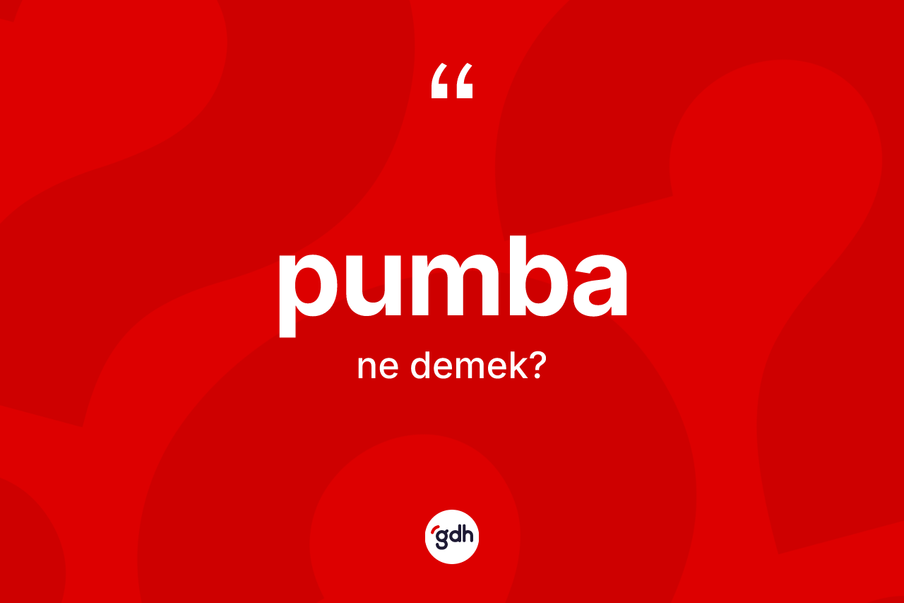 Pumba kelimesinin tanımı nedir? Pumbanın TDK'ya göre anlamı nedir?