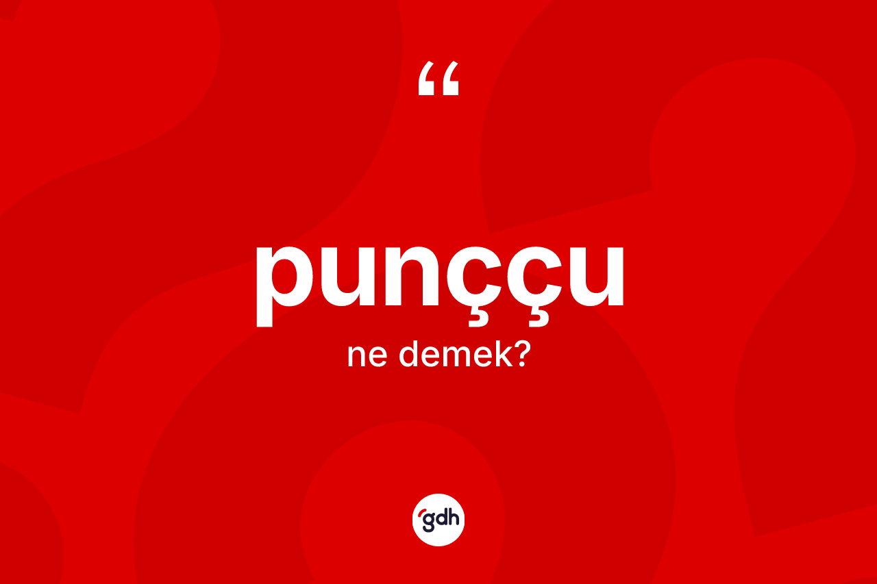 Punççu kelimesi ne anlama gelir? Punççunun sözlükteki anlamı nedir?
