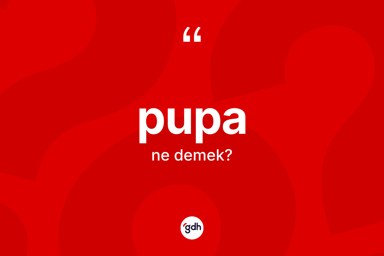 Pupa ne anlama gelir? Pupa kelimesinin TDK'ya göre açıklaması nedir?