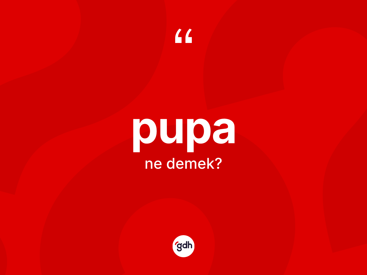 Pupa ne anlama gelir? Pupa kelimesinin TDK'ya göre açıklaması nedir?