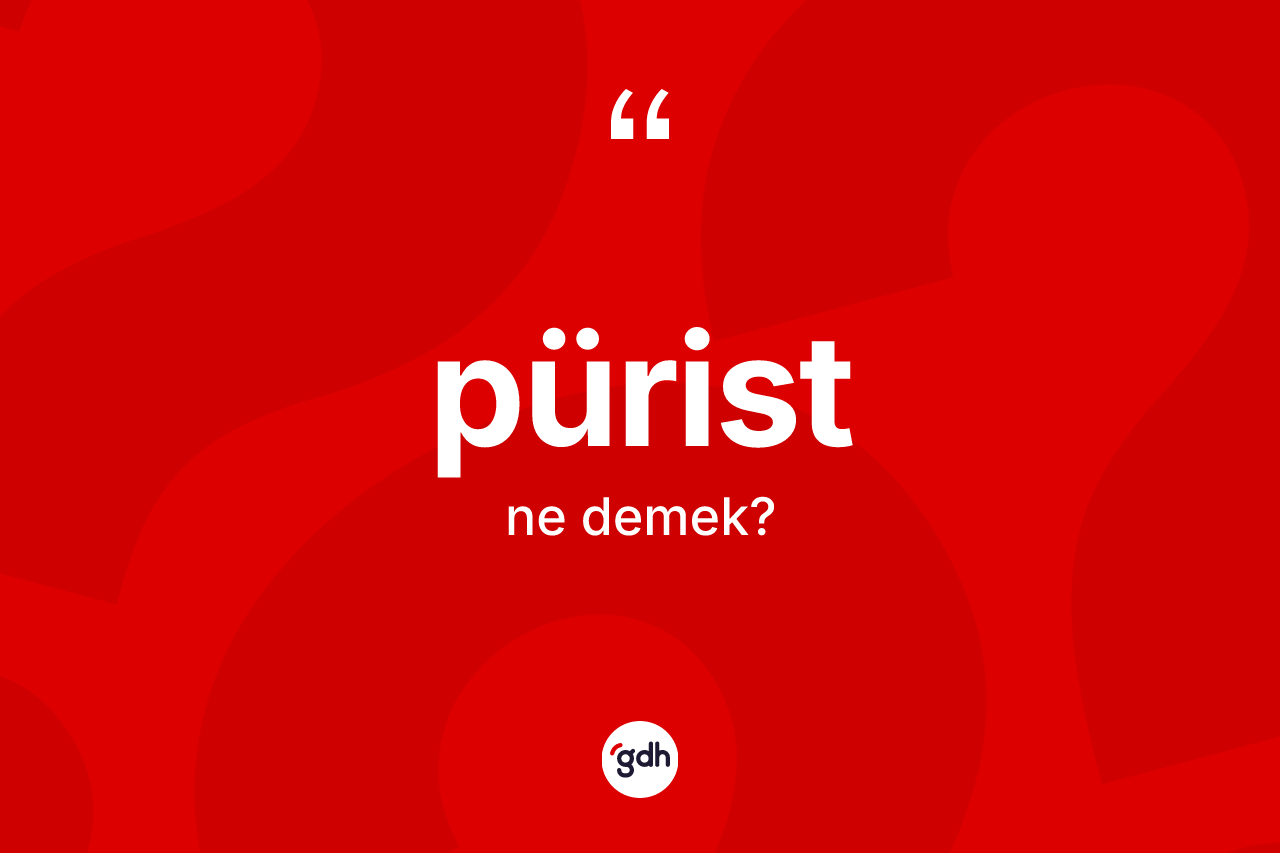 Pürist kelimesi ne anlama gelir? Püristin kısaca tanımı nedir?