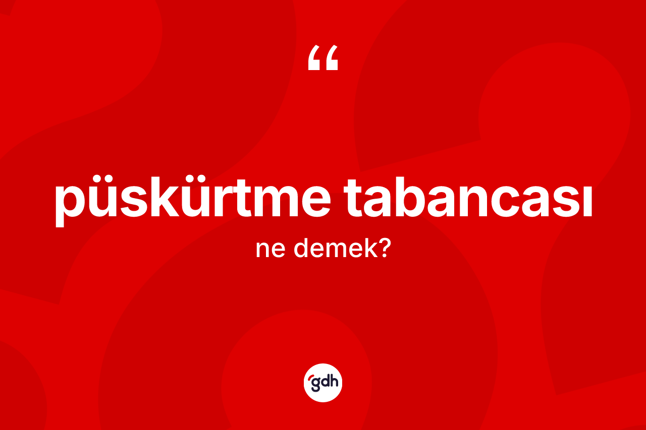 Püskürtme tabancası kelimesinin tanımı nedir? Püskürtme tabancasının TDK'ya göre anlamı nedir?
