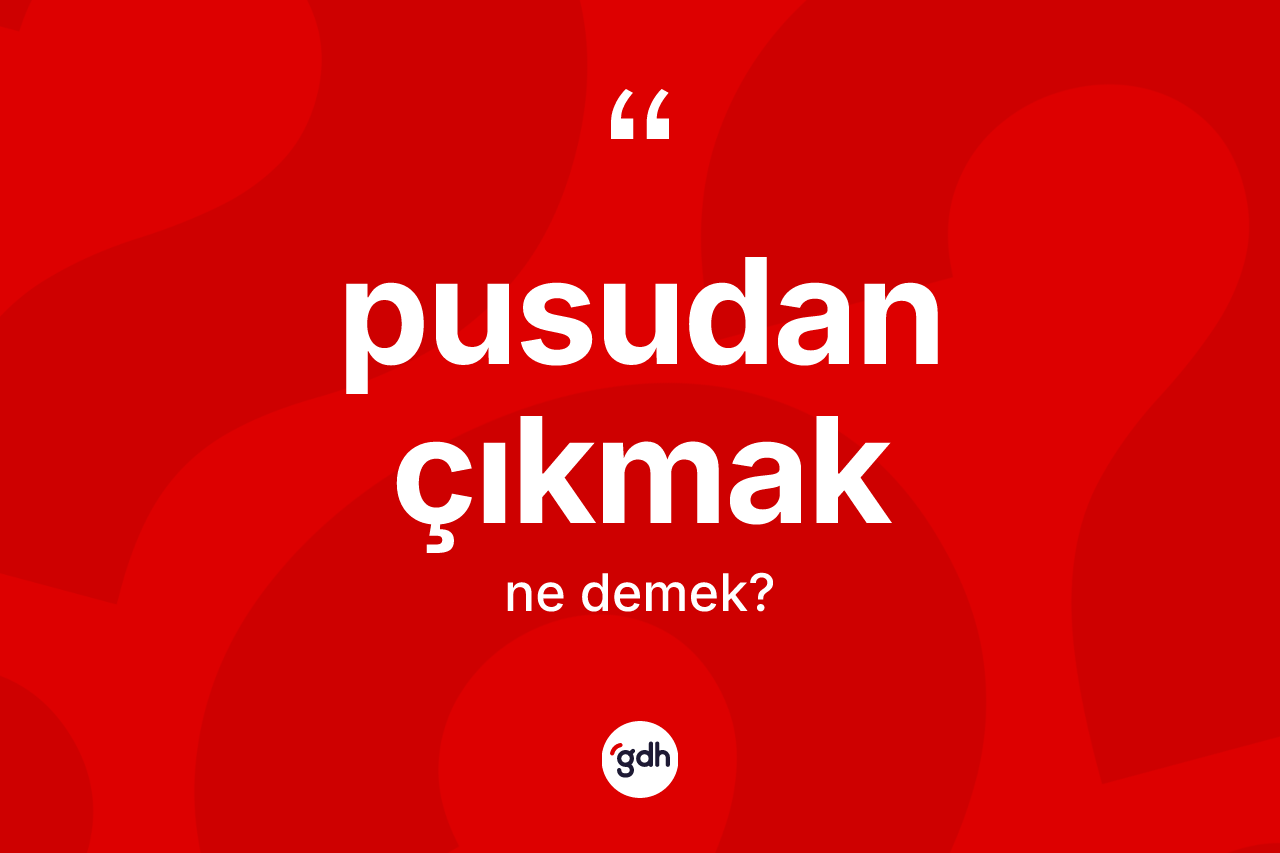 Pusudan çıkmak ifadesi ne demek? Pusudan çıkmak ifadesi nerede kullanılır?