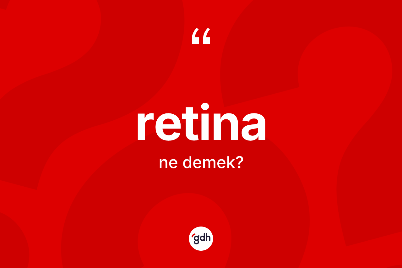 Retina nedir? Retinanın kısaca tanımı nedir?
