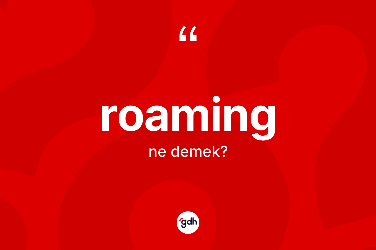 Roaming kelimesi nedir? Roamingin TDK'ya göre anlamı nedir?