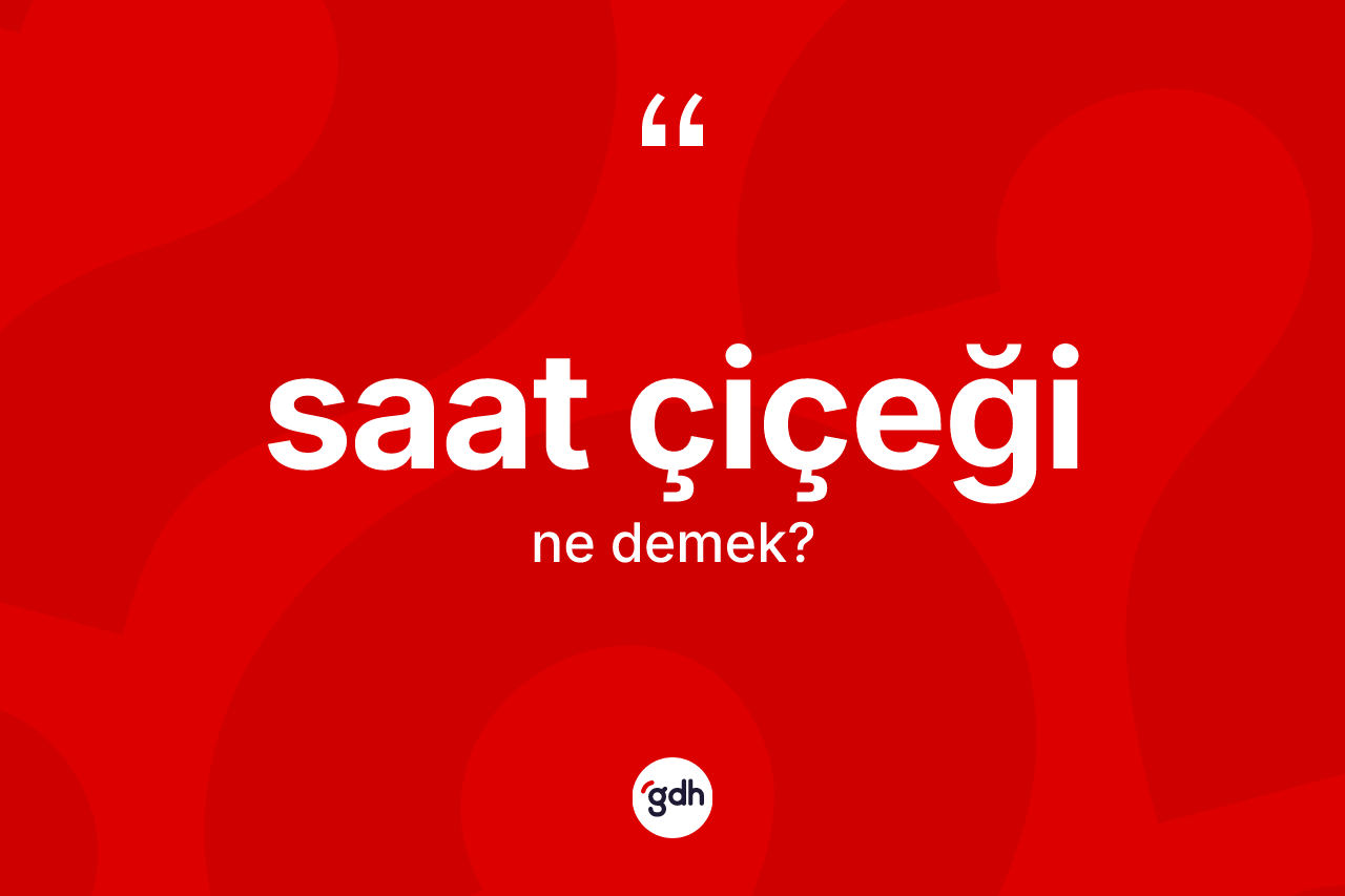 Saat çiçeği nedir? Saat çiçeğinin TDK'ya göre anlamı nedir?