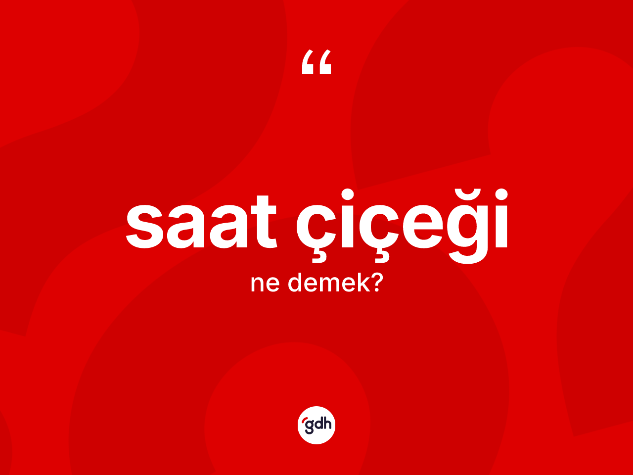 Saat çiçeği nedir? Saat çiçeğinin TDK'ya göre anlamı nedir?