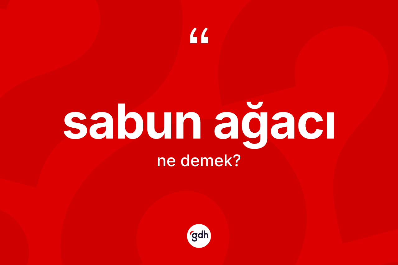 Sabun ağacı kelimesinin anlamı nedir? Sabun ağacı kelimesinin TDK'ya göre açıklaması nedir?