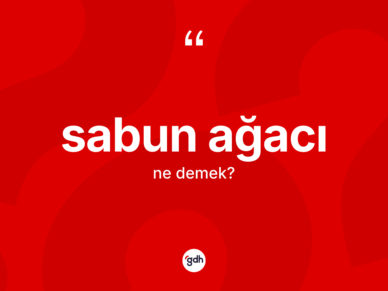 Sabun ağacı kelimesinin anlamı nedir? Sabun ağacı kelimesinin TDK'ya göre açıklaması nedir?