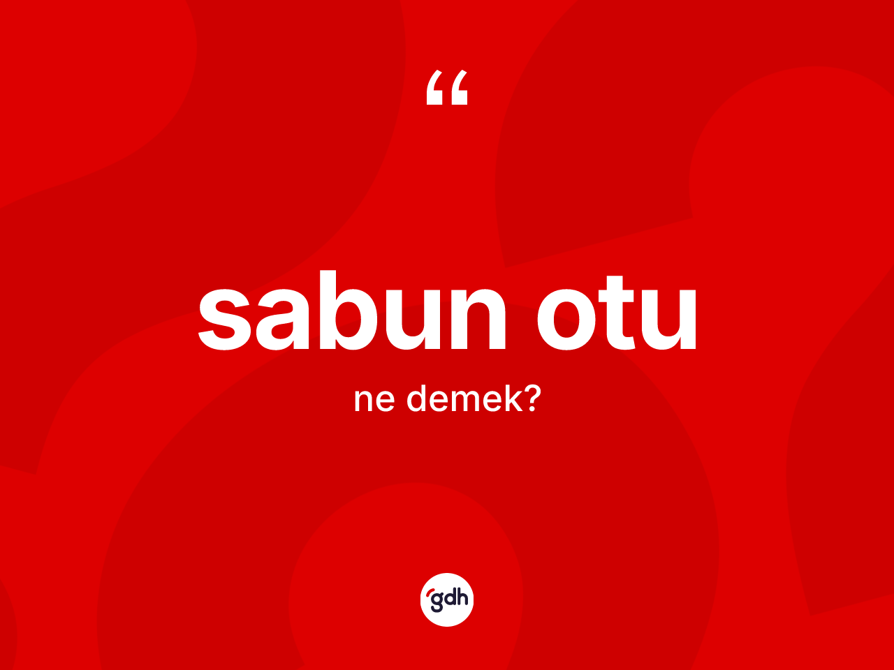 Sabun otu kelimesinin tanımı nedir? Sabun otu kelimesinin TDK anlamı nedir?