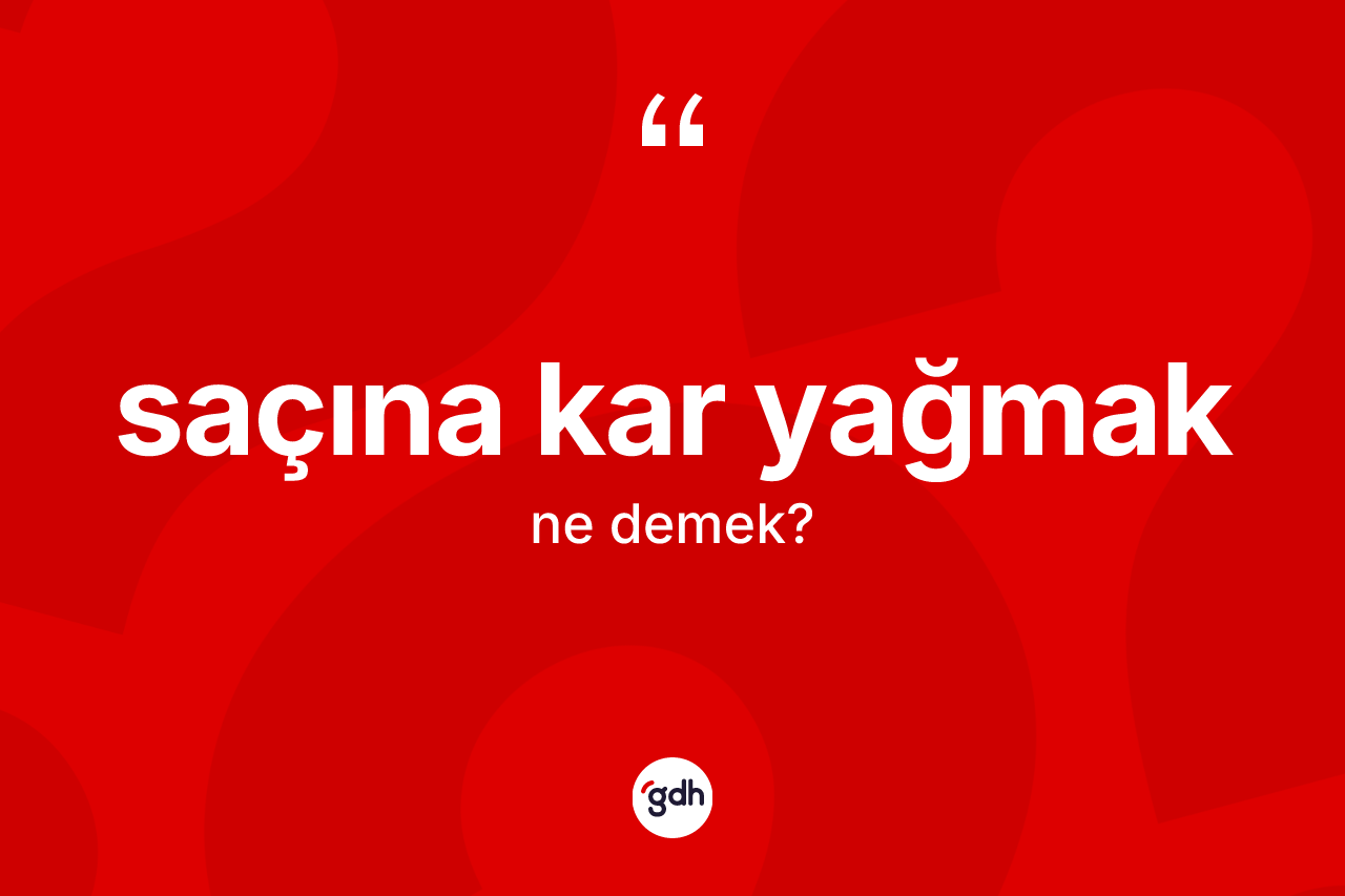 Saçına kar yağmak ifadesinin sözlükteki anlamı nedir?