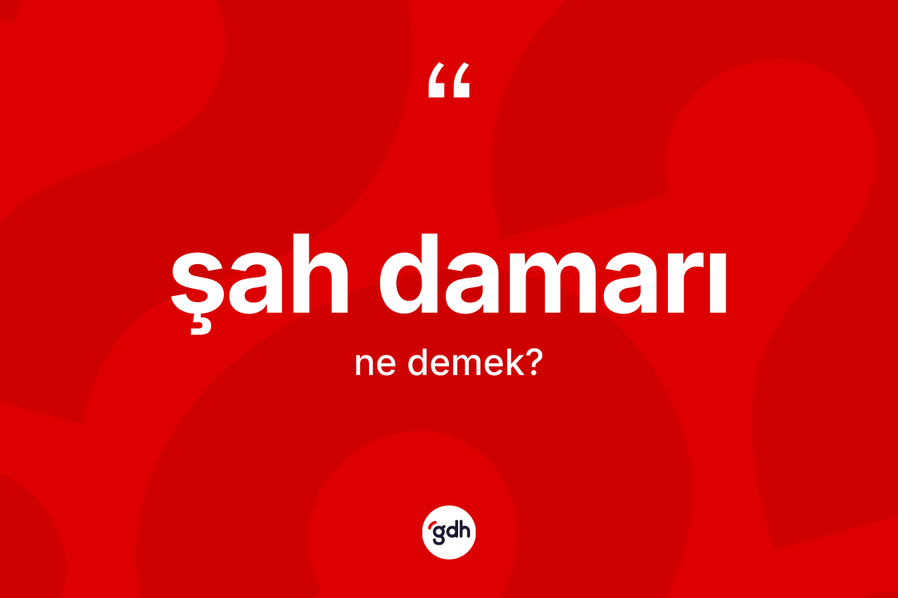 Şah damarı kelimesinin anlamı nedir? Şah damarı kelimesinin TDK'ya göre açıklaması nedir?