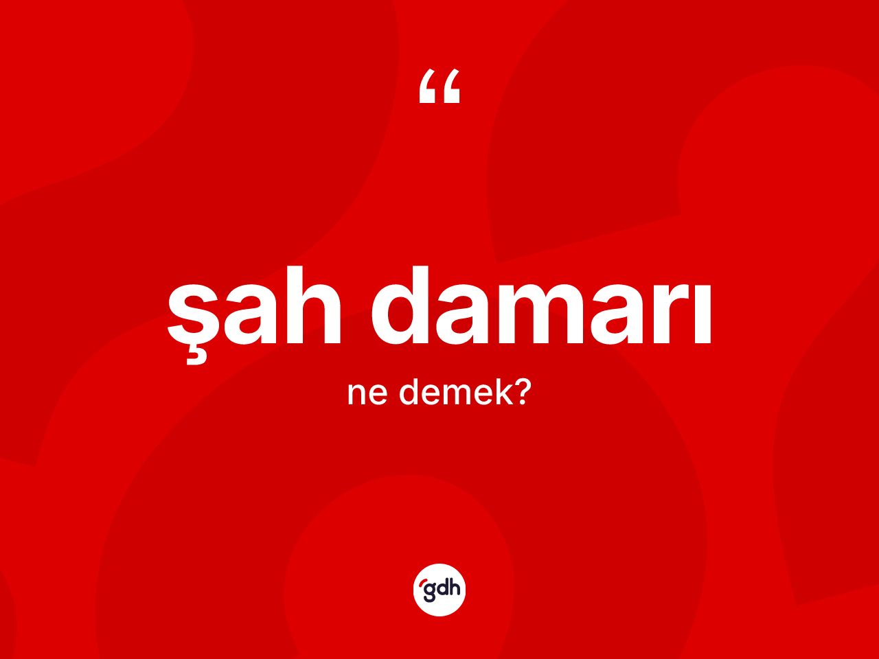 Şah damarı kelimesinin anlamı nedir? Şah damarı kelimesinin TDK'ya göre açıklaması nedir?