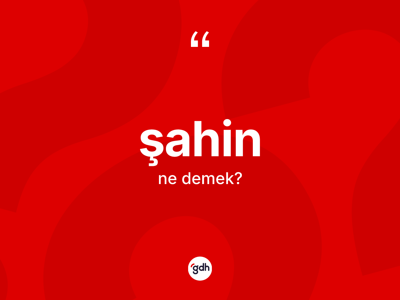 Şahin kelimesinin tanımı nedir? Şahinin TDK'ya göre anlamı nedir?