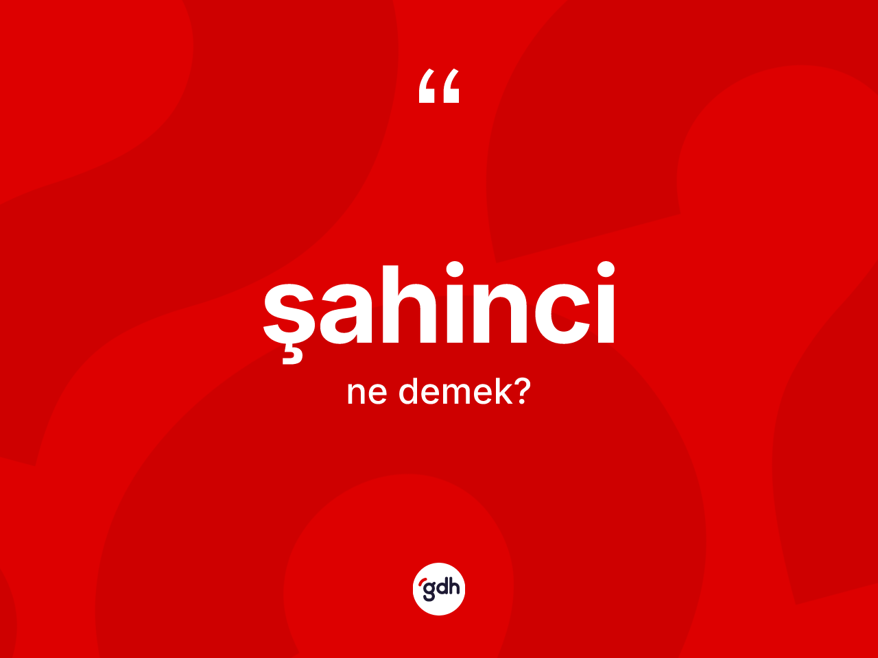 Şahinci kelimesinin sözlükteki tanımı nedir? Şahincinin TDK'ya göre anlamı nedir?