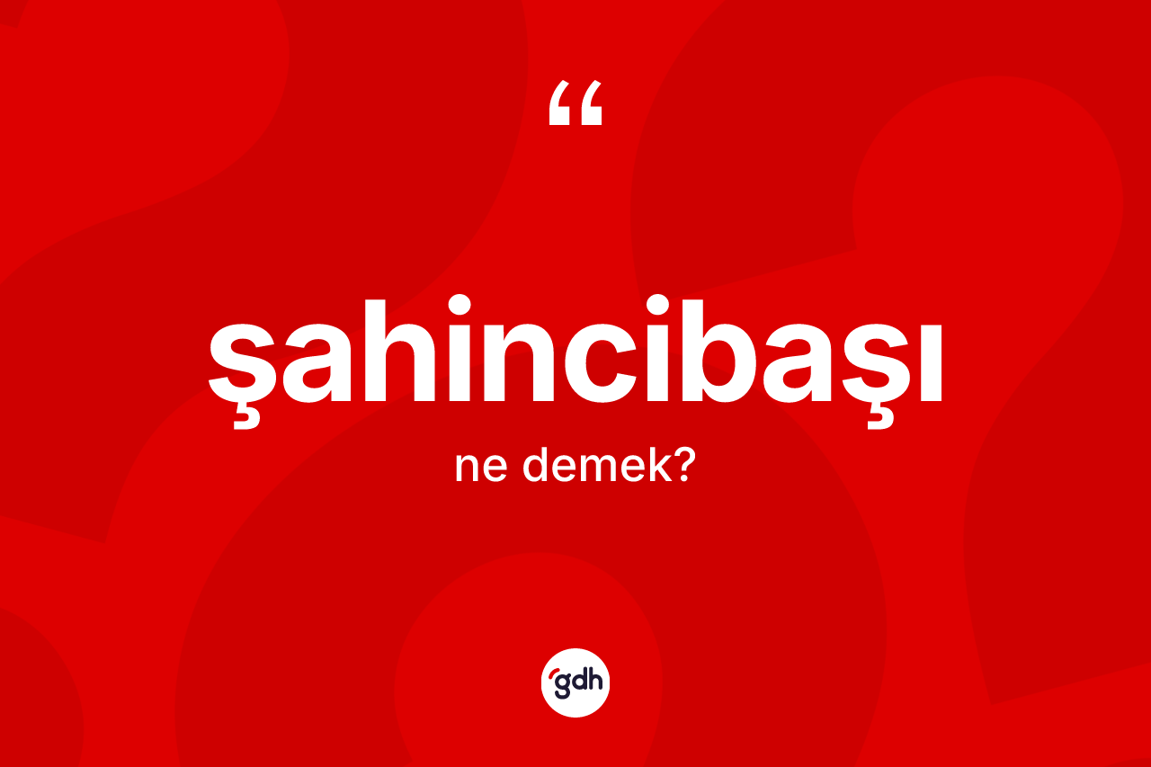 Şahincibaşı ne anlama gelir? Şahincibaşının kısaca tanımı nedir?