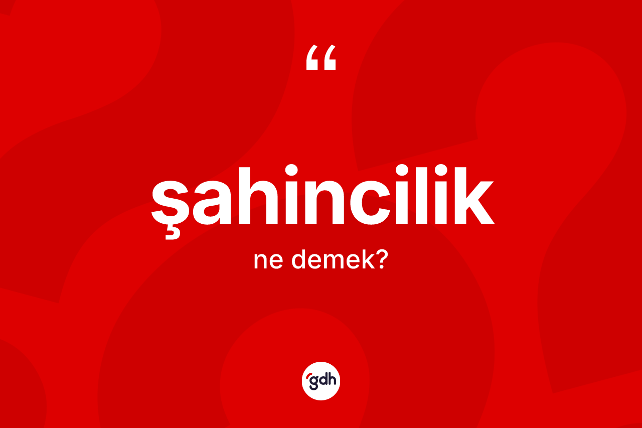 Şahincilik kelimesi nedir?