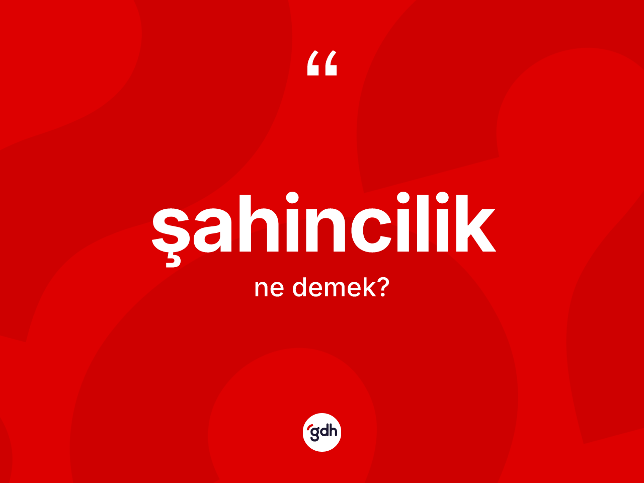 Şahincilik kelimesi nedir? Şahincilik kelimesinin kaç farklı anlamı var?