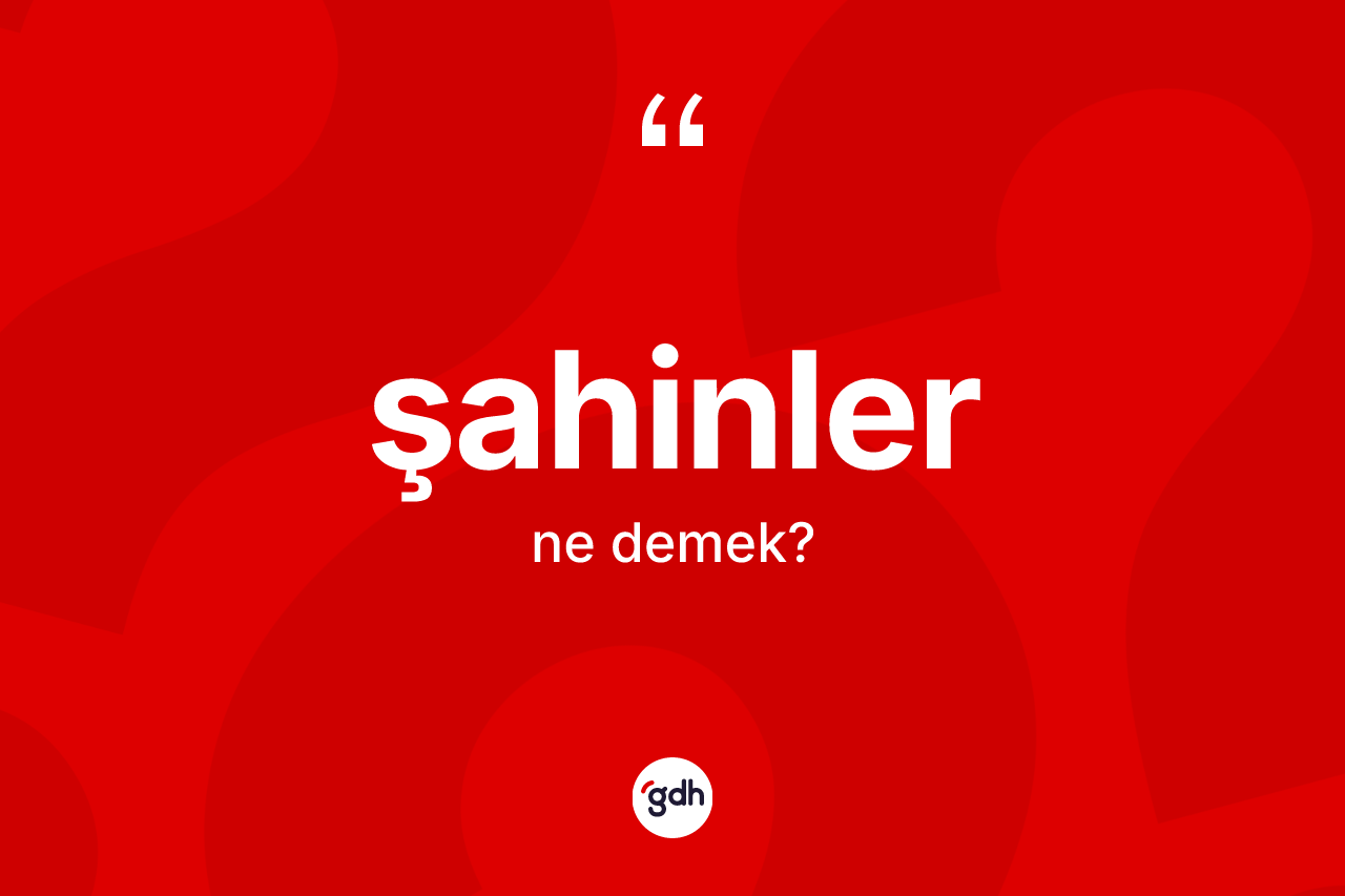 Şahinler kelimesinin anlamı nedir? Şahinlerin kısaca tanımı nedir?