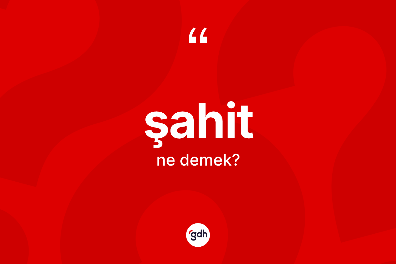 Şahit kelimesinin tanımı nedir? Şahit kelimesinin TDK'ya göre açıklaması nedir?