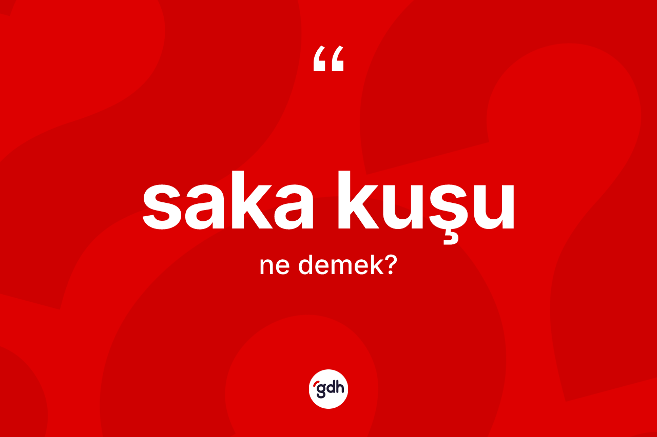 Saka kuşu kelimesinin tanımı nedir? Saka kuşunun TDK'ya göre anlamı nedir?