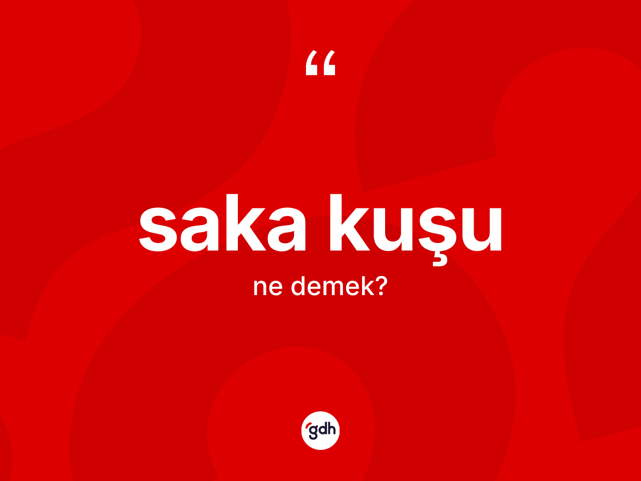 Saka kuşu kelimesinin tanımı nedir? Saka kuşunun TDK'ya göre anlamı nedir?