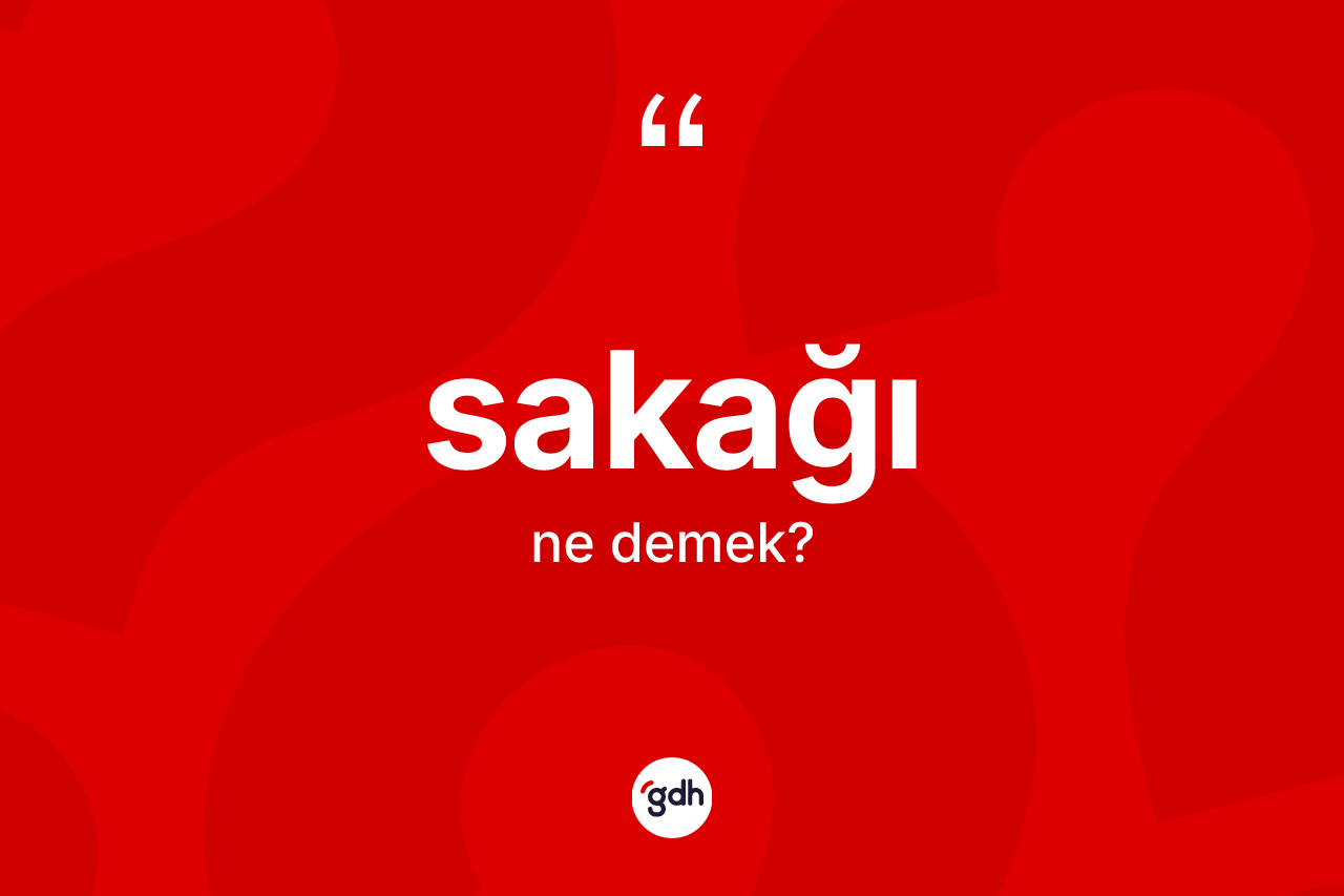 Sakağı ne anlama gelir? Sakağının TDK'ya göre anlamı nedir?