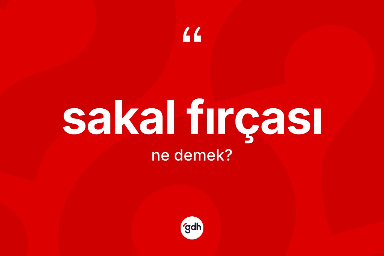 Sakal fırçası kelimesi nedir?