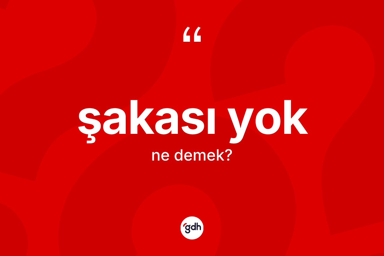 Şakası yok ne demektir?
