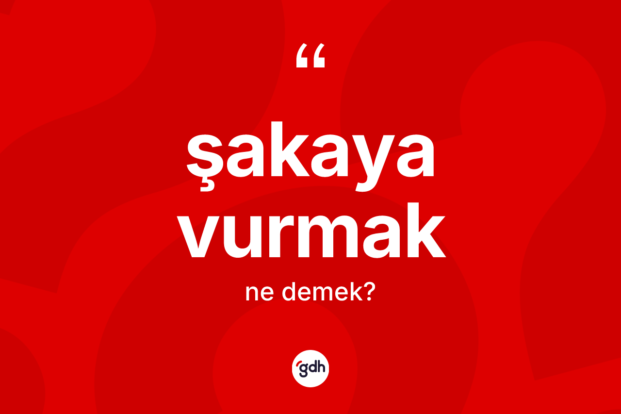 Şakaya vurmak ifadesi ne demektir?
