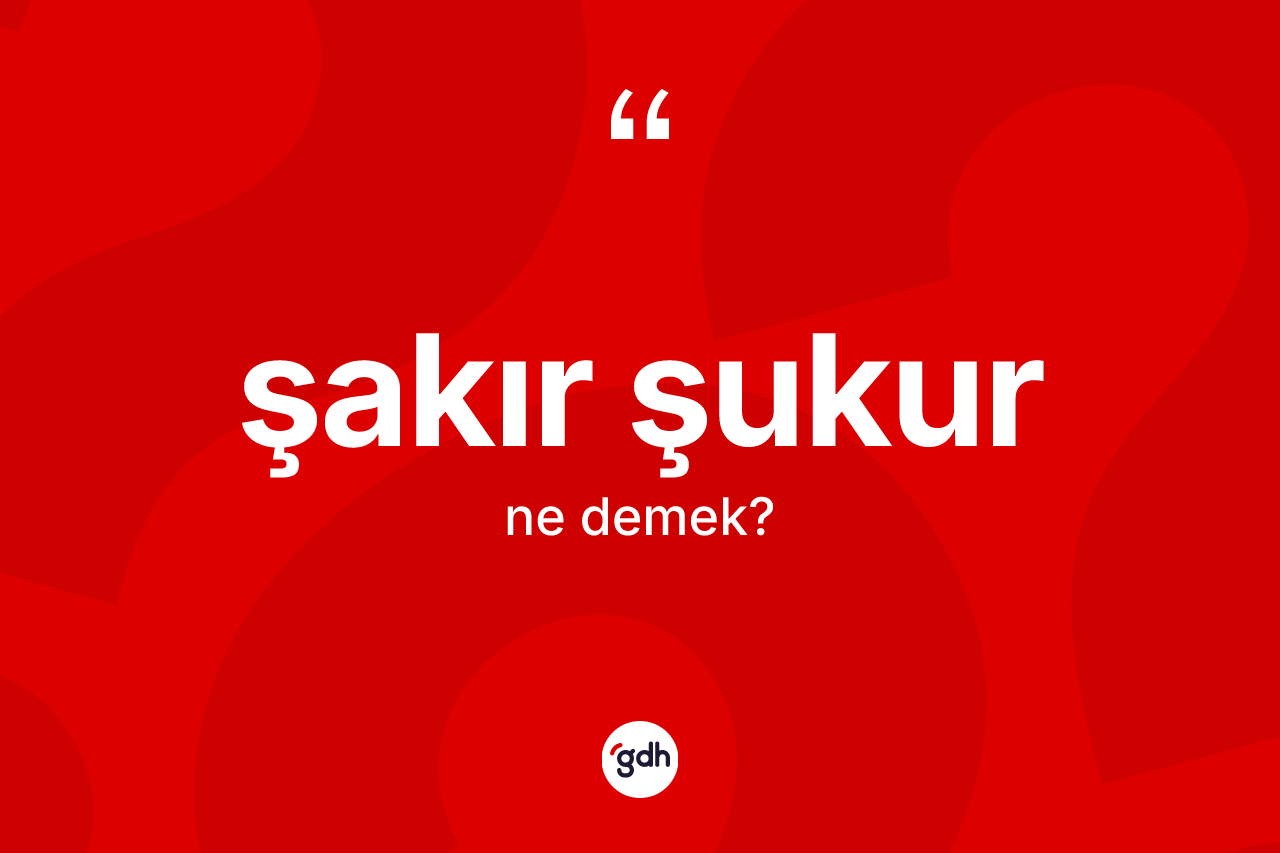 Şakır şukur kelimesi ne demek? Şakır şukurun sözlükteki anlamı nedir?